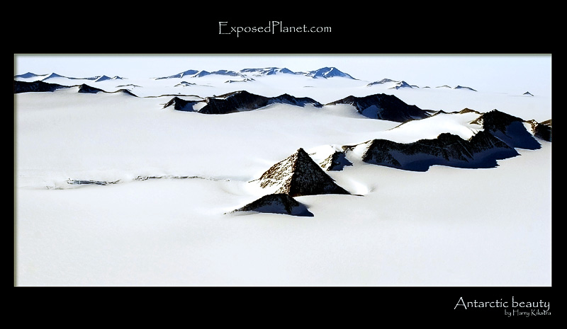 Antarctic Beauty