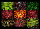 Mexican Chili Peppers