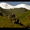 Mount Elbrus, Russia from the North