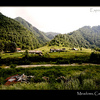 Caucasus meadows