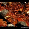 Mineral springwater, Russia