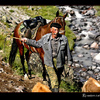 Russian cattle farmer