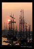Sunset at SAIL Amsterdam 2005