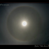 Solar Halo, check your skies today!