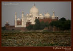 Taj or Trash Mahal, India