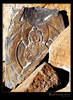 Buddha image in mani stones pile