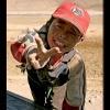 Peace in Tibet (2)
