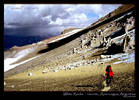 White Rocks traverse on Aconcagua, Argentina